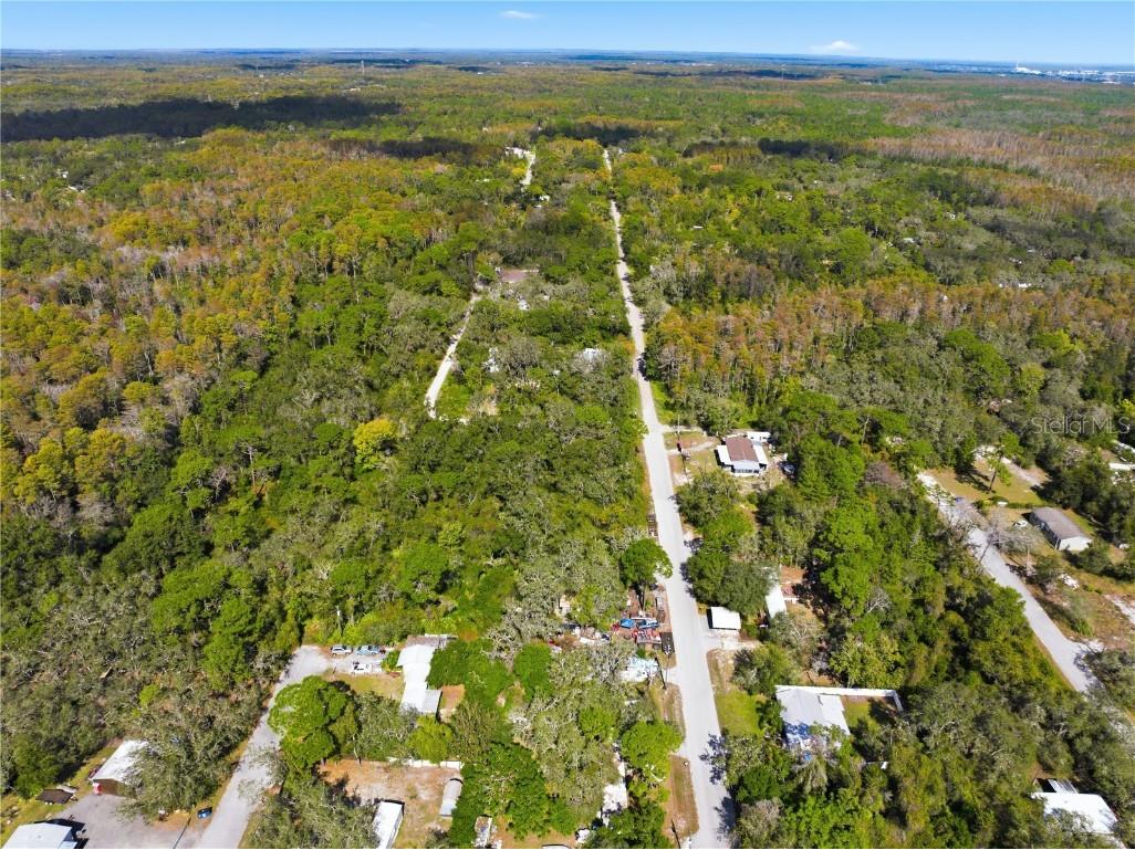 000 Shalimar Street New Port Richey FL 34654 W7880544 image7