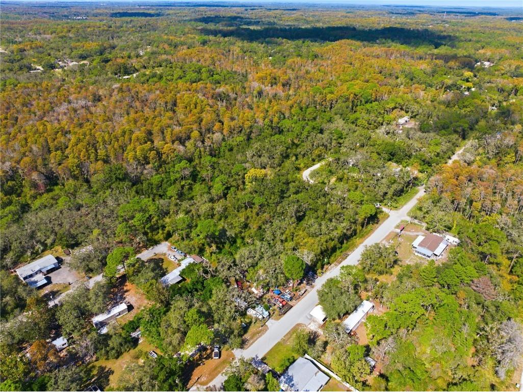 000 Shalimar Street New Port Richey FL 34654 W7880544 image8