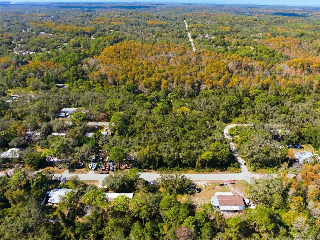 000 Shalimar Street New Port Richey FL 34654 W7880544 image9