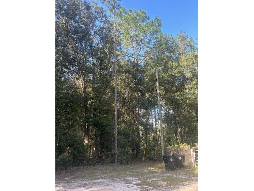 000 Stardust Lane Melrose FL 32666 O6350553 image1