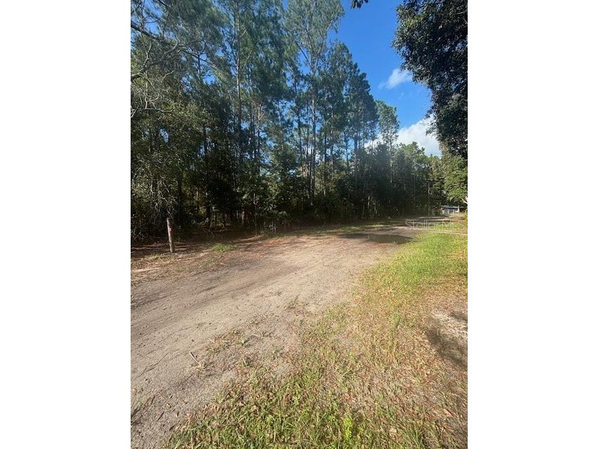 000 Stardust Lane Melrose FL 32666 O6350553 image16