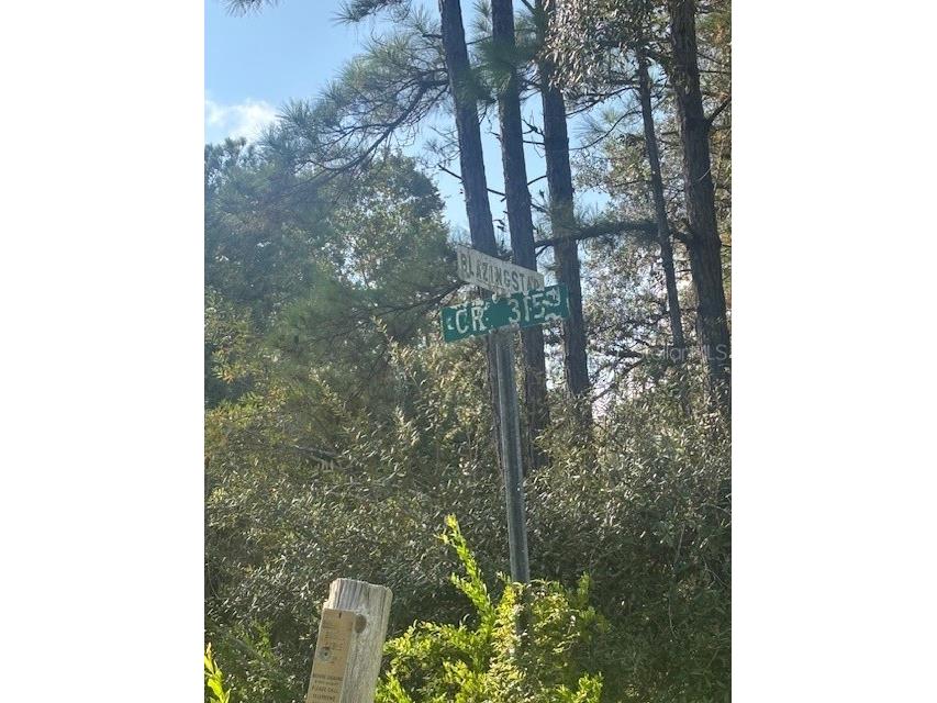 000 Stardust Lane Melrose FL 32666 O6350553 image17