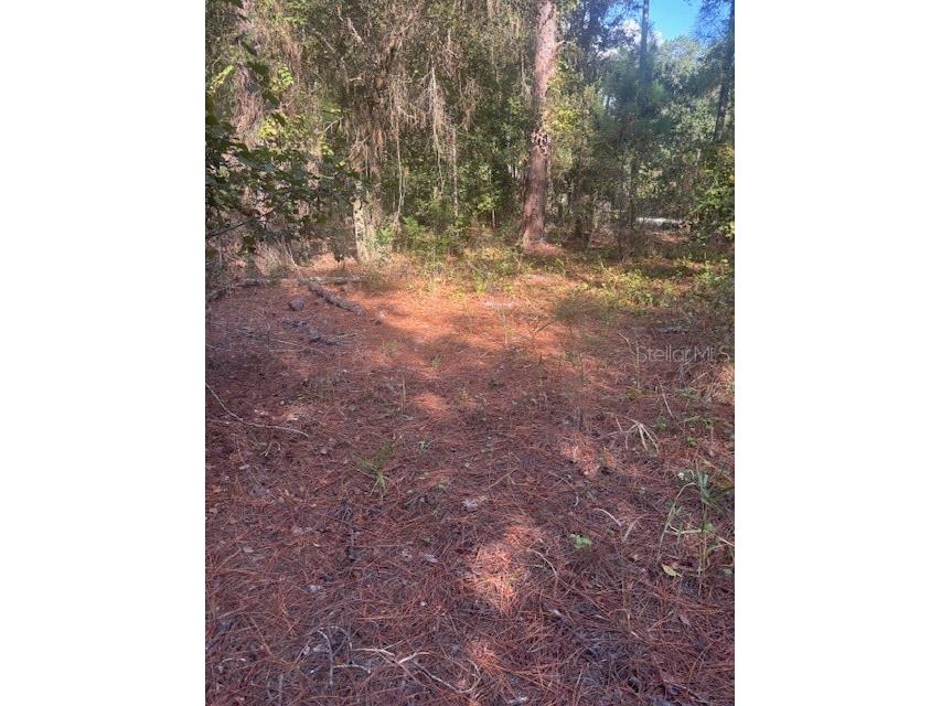 000 Stardust Lane Melrose FL 32666 O6350553 image8