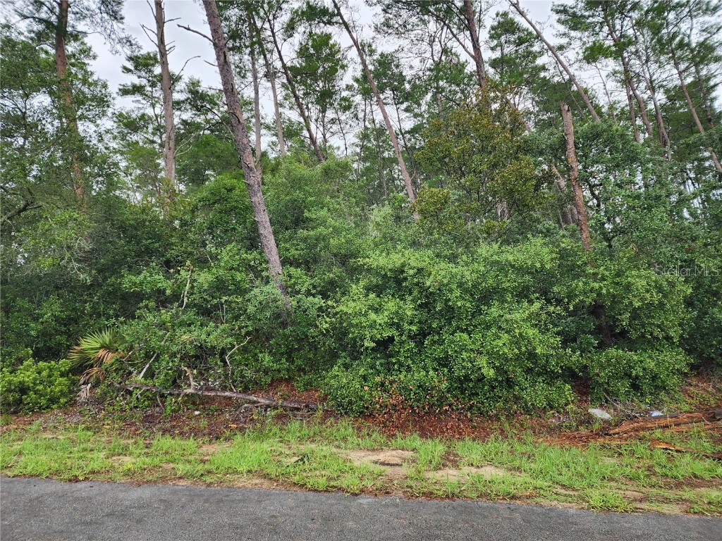 000 SW 108th Place Ocala FL 34476 OM681784 image1