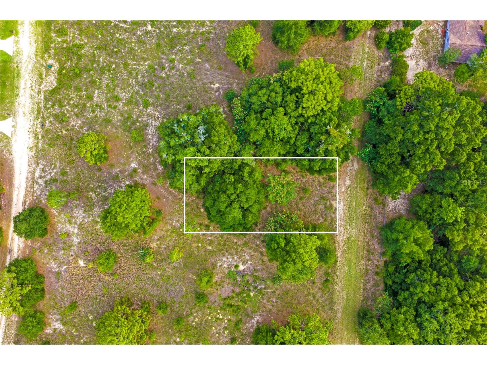 000 SW 146 Court Ocala FL 34481 OM726182 image6