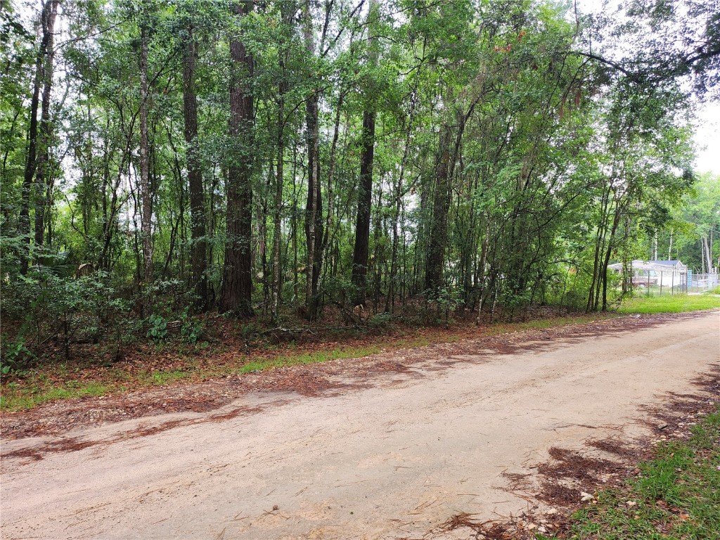 000 SW 15 Place Ocala FL 34481 OM703802 image3