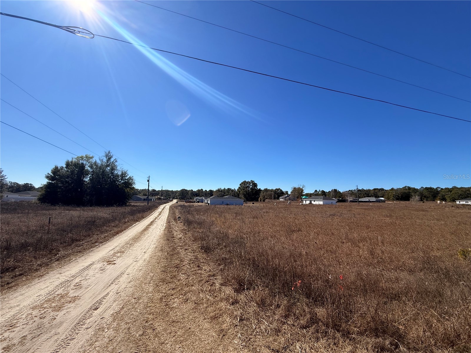 000 SW 150th Court Ocala FL 34481 OM718226 image3