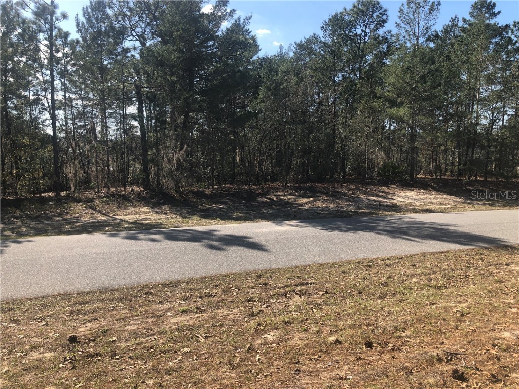 000 Sw 162nd Place Ocala FL 34473 G5064197 image1