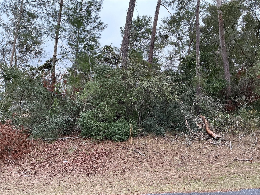 000 SW 162nd Place Ocala FL 34473 OM696481 image1