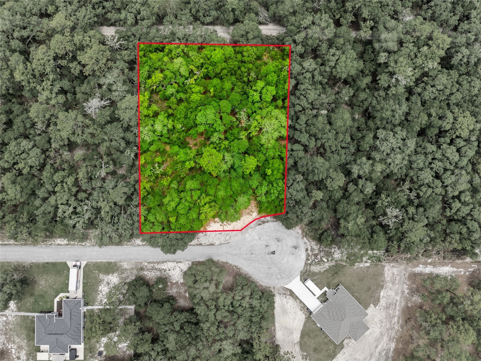 000 SW 172nd Loop Ocala FL 34473 G5113248 image1