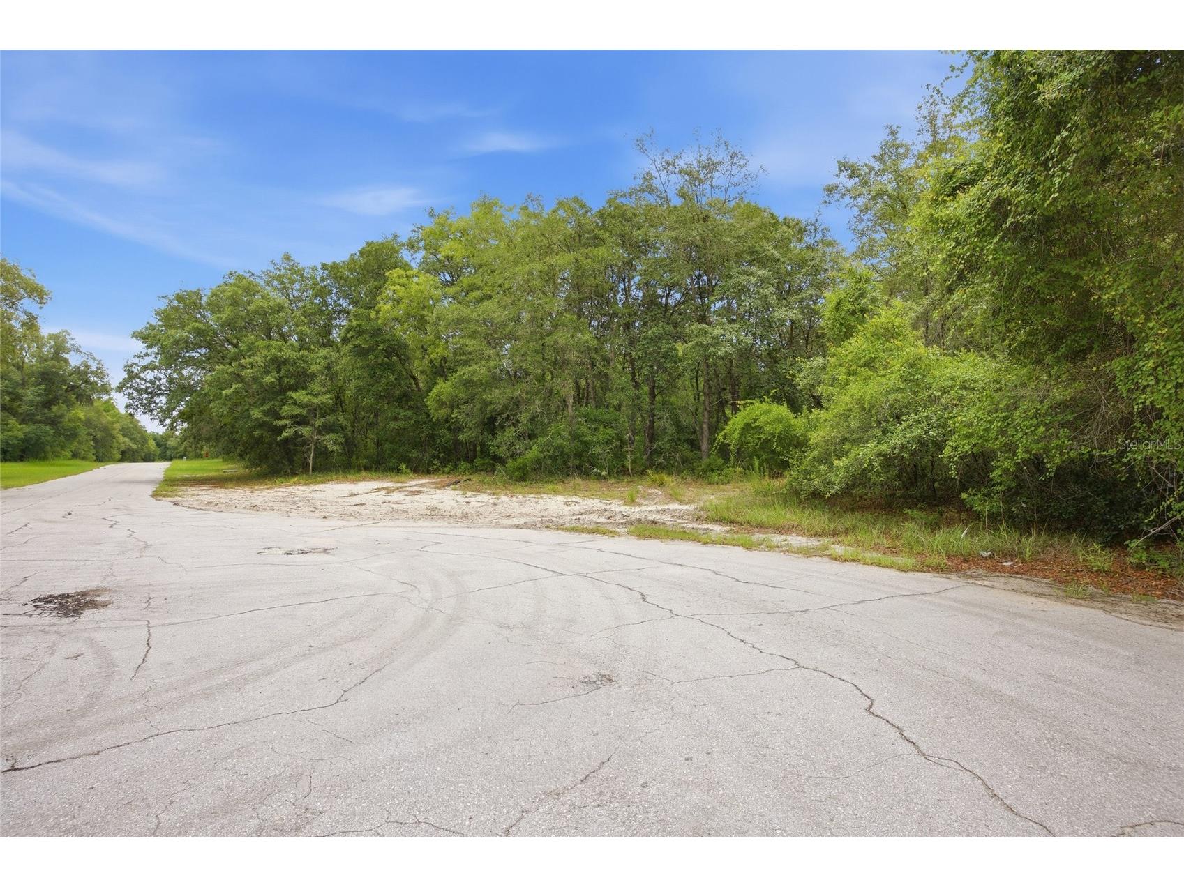 000 SW 172nd Loop Ocala FL 34473 G5113248 image2