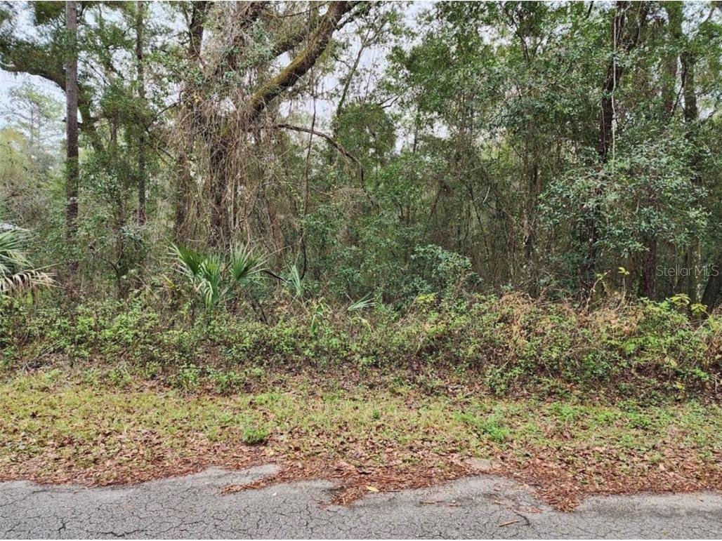 000 SW 188th Avenue Dunnellon FL 34432 OM669937 image1