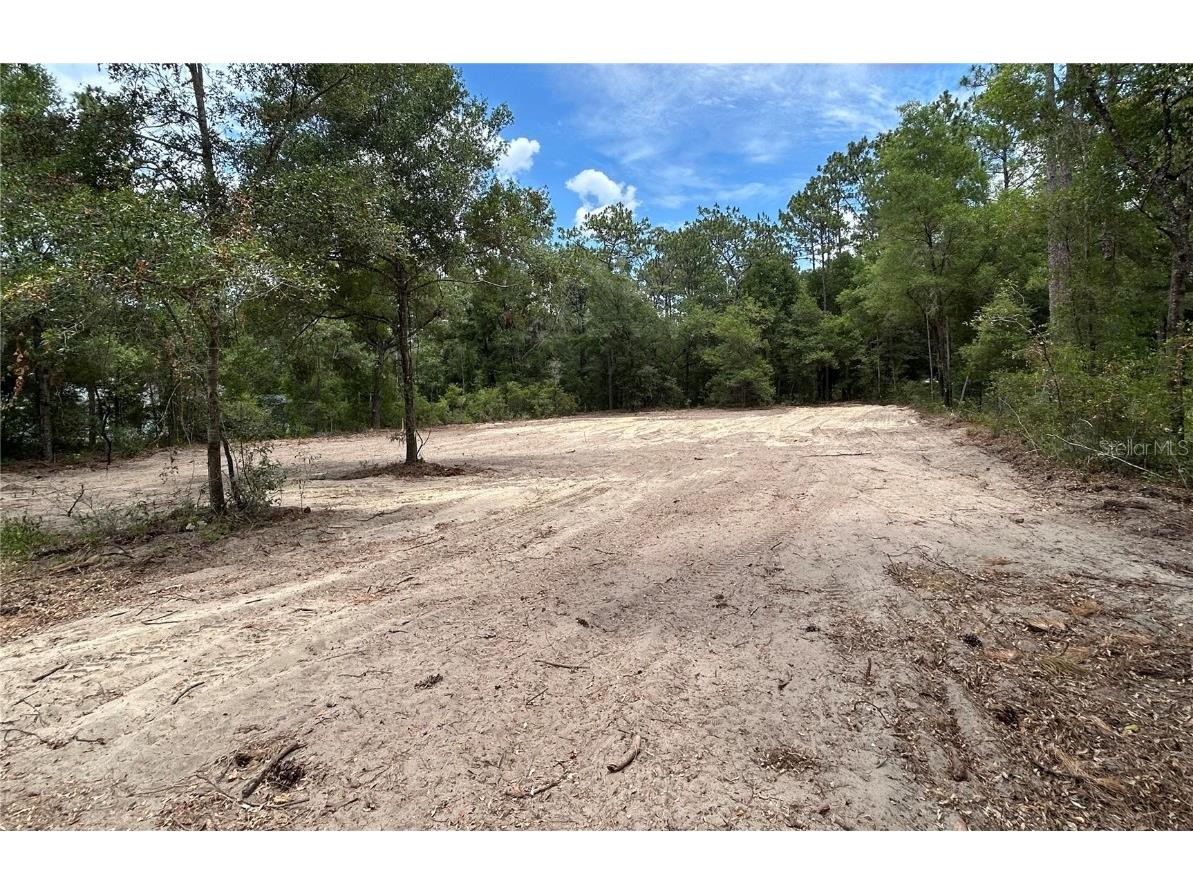 000 SW 202nd Court Dunnellon FL 34431 OM680711 image1