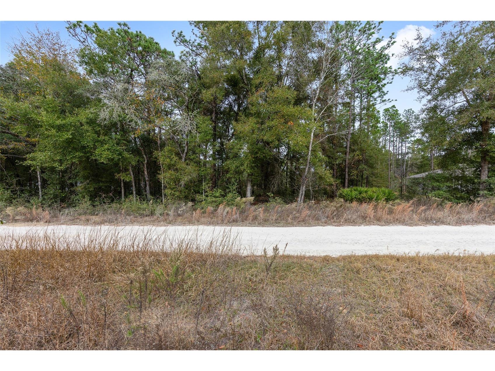 000 SW 28th Lane Ocala FL 34481 GC535998 image1