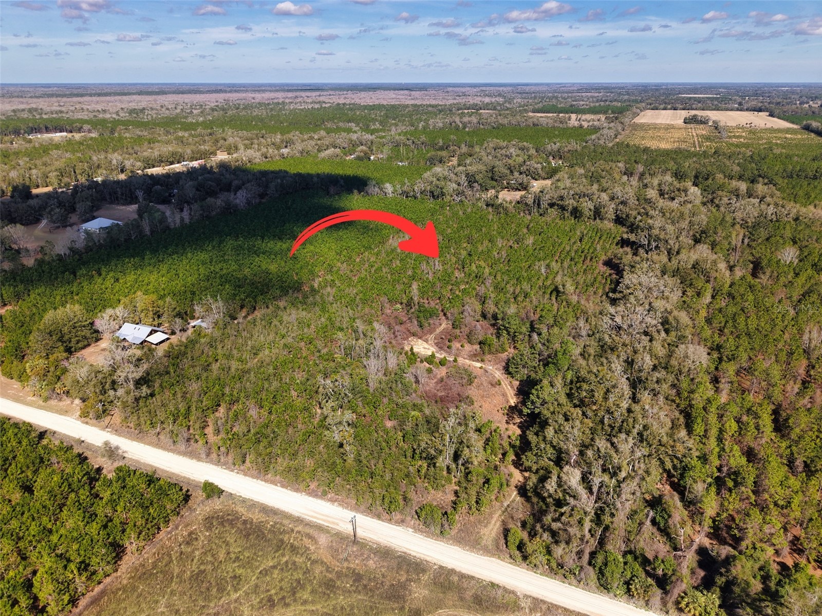 Lot 17 SW 80th Street Trenton FL 32693 GC538085 image1