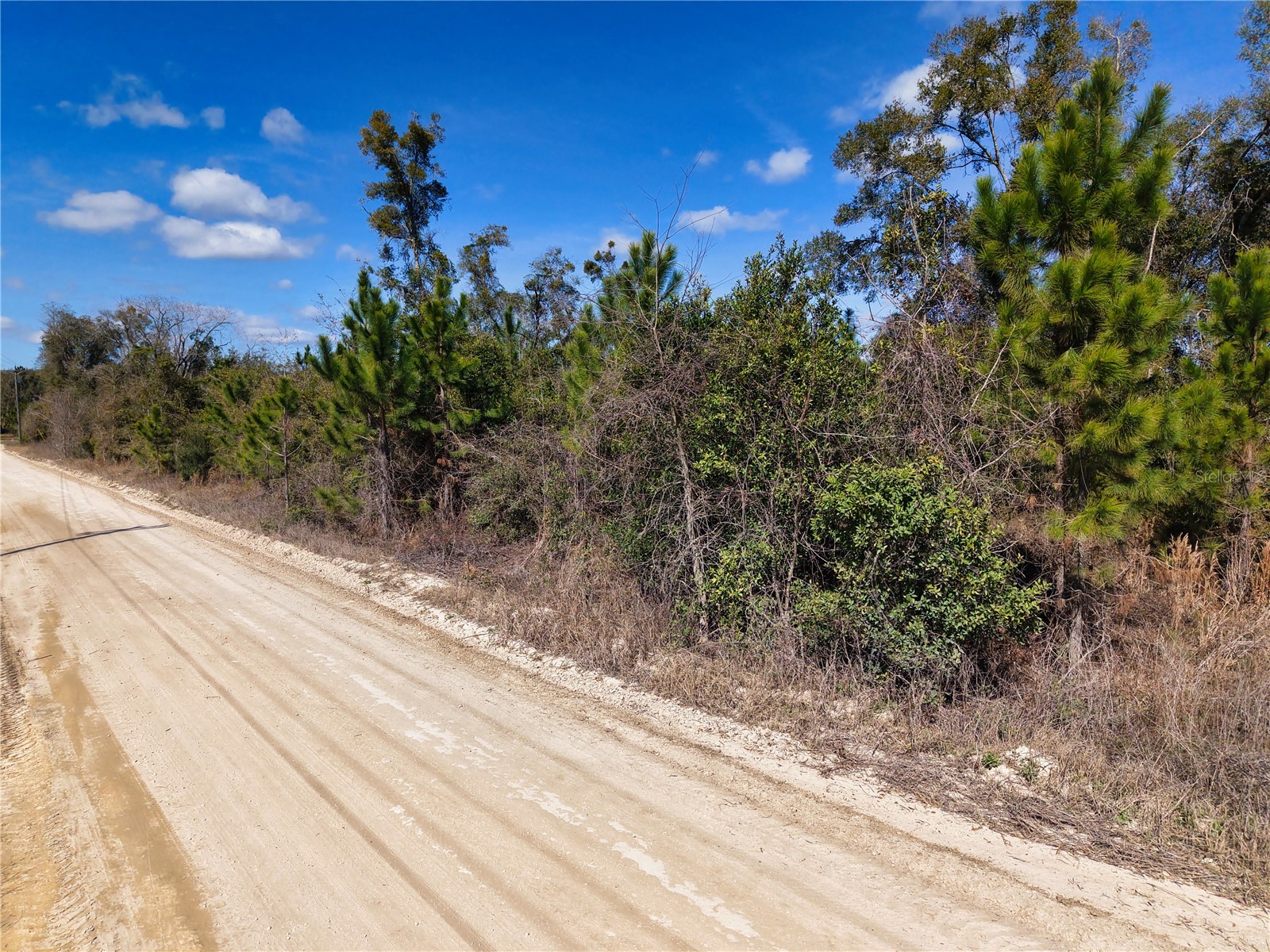 Lot 17 SW 80th Street Trenton FL 32693 GC538085 image10