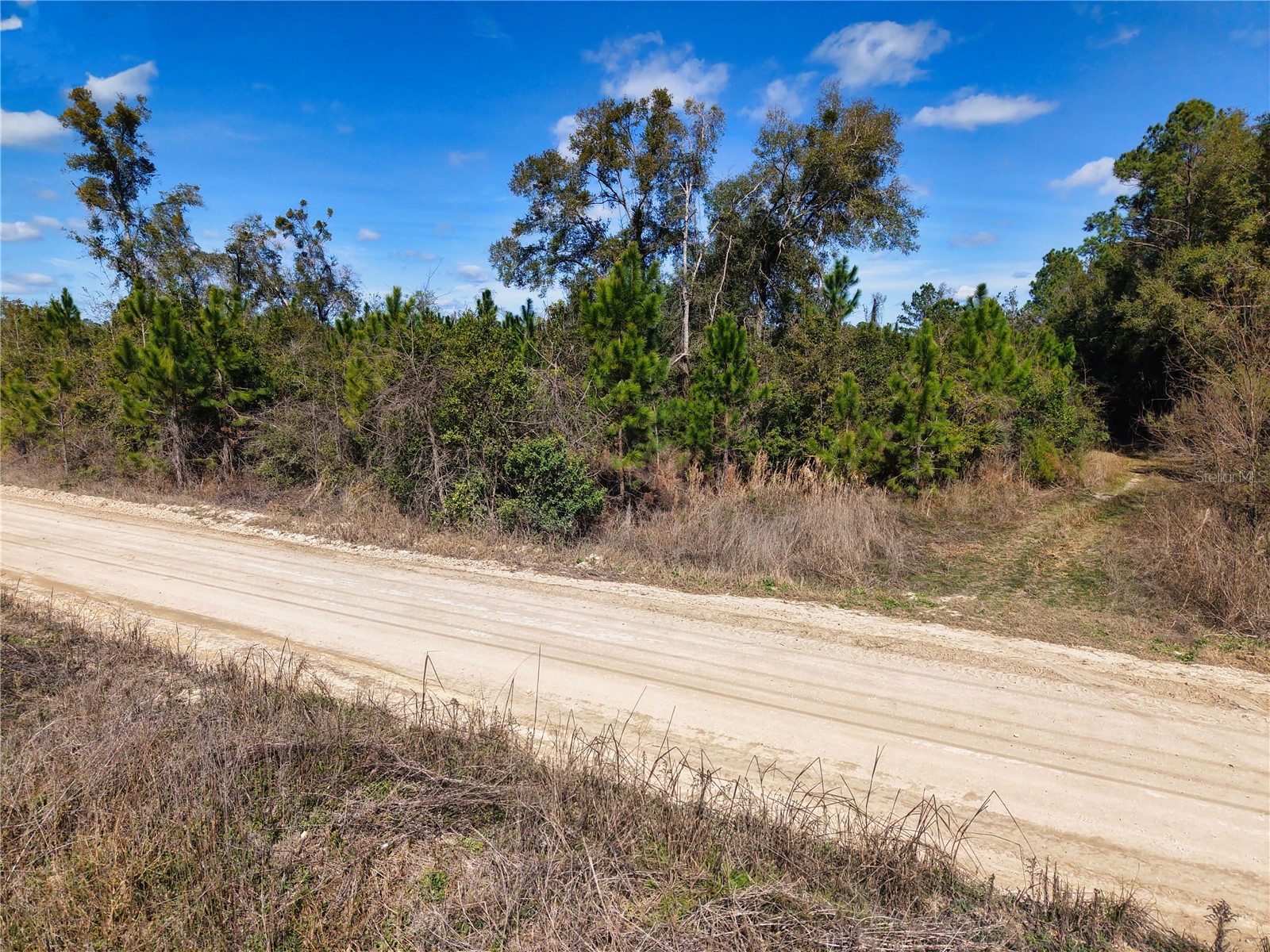 Lot 17 SW 80th Street Trenton FL 32693 GC538085 image11