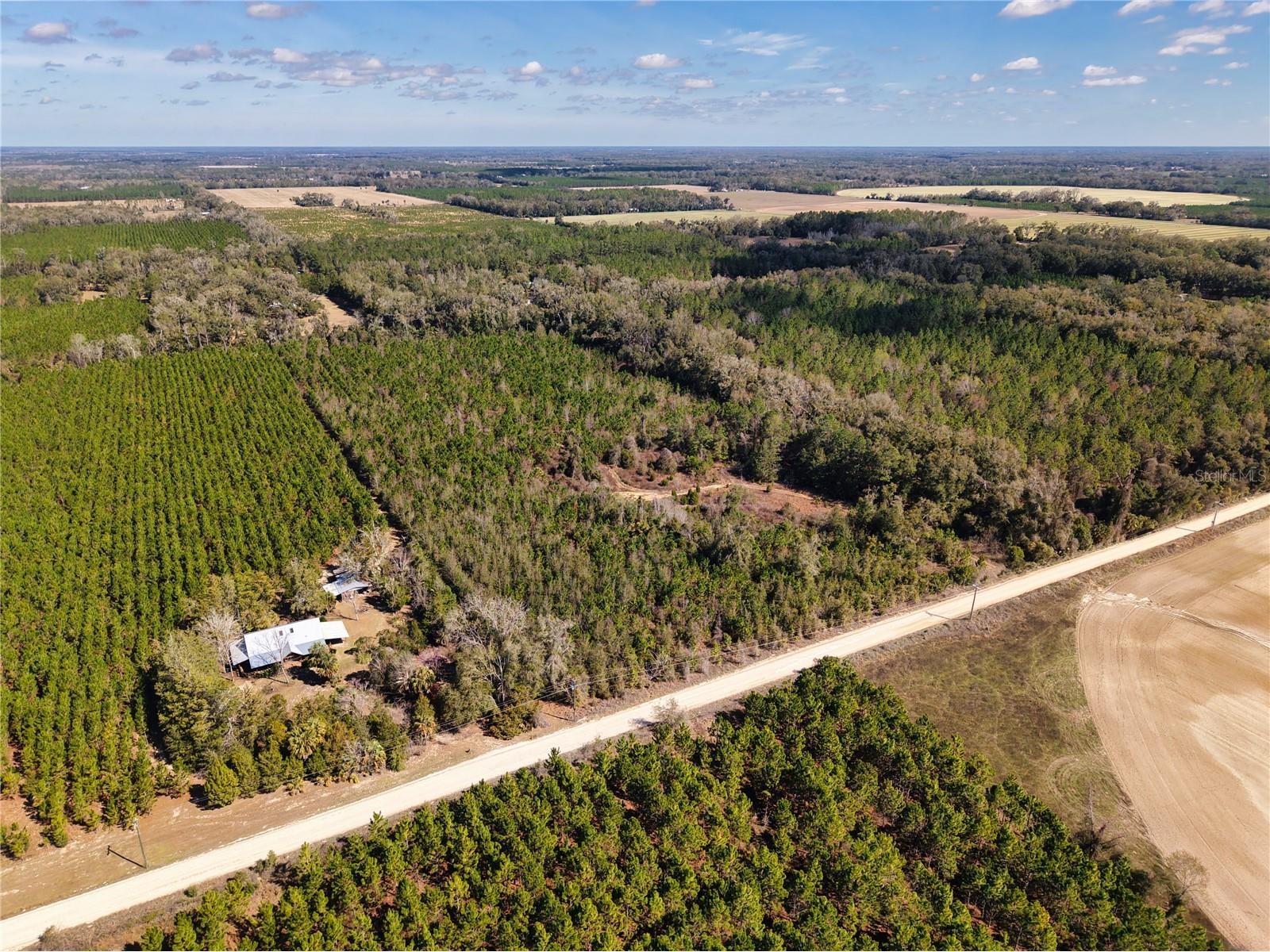 Lot 17 SW 80th Street Trenton FL 32693 GC538085 image4