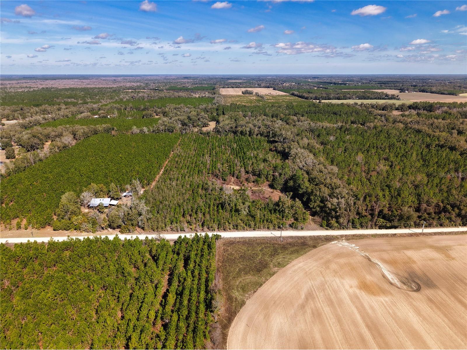 Lot 17 SW 80th Street Trenton FL 32693 GC538085 image5