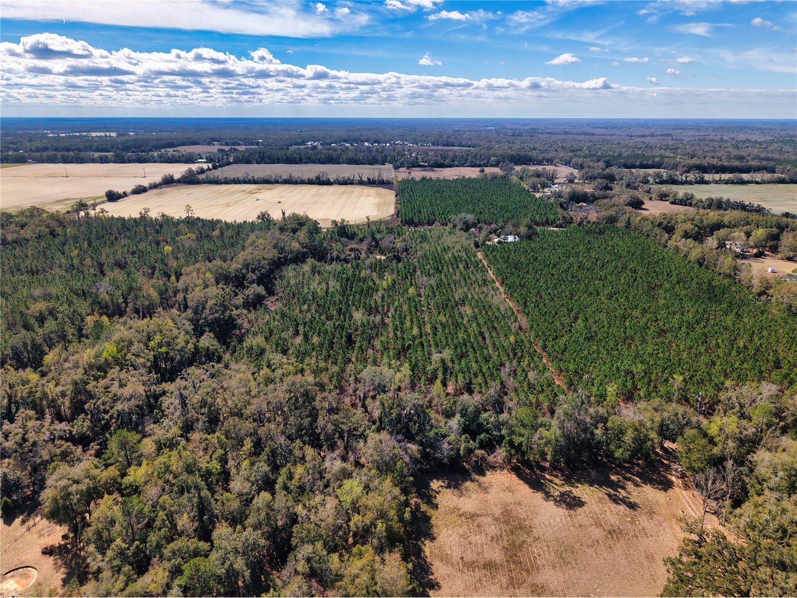 Lot 17 SW 80th Street Trenton FL 32693 GC538085 image7