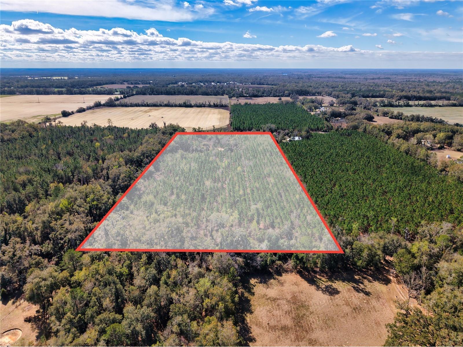 Lot 17 SW 80th Street Trenton FL 32693 GC538085 image8