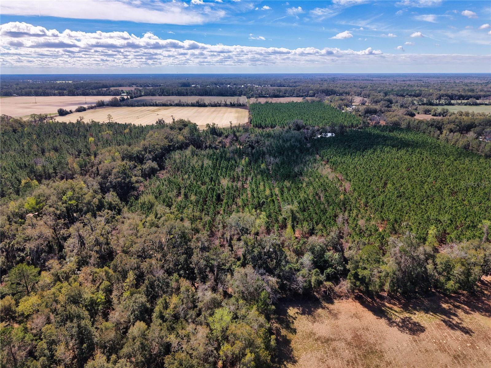 Lot 17 SW 80th Street Trenton FL 32693 GC538085 image9