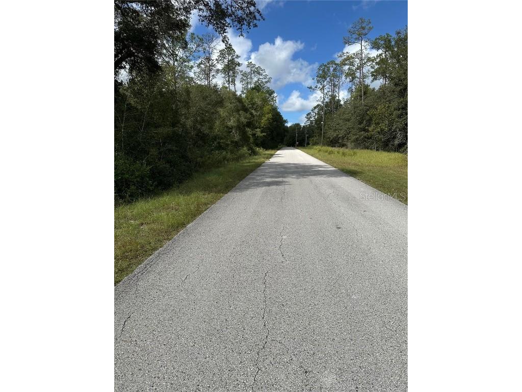 000 SW Audubon Avenue Dunnellon FL 34431 OM711108 image3