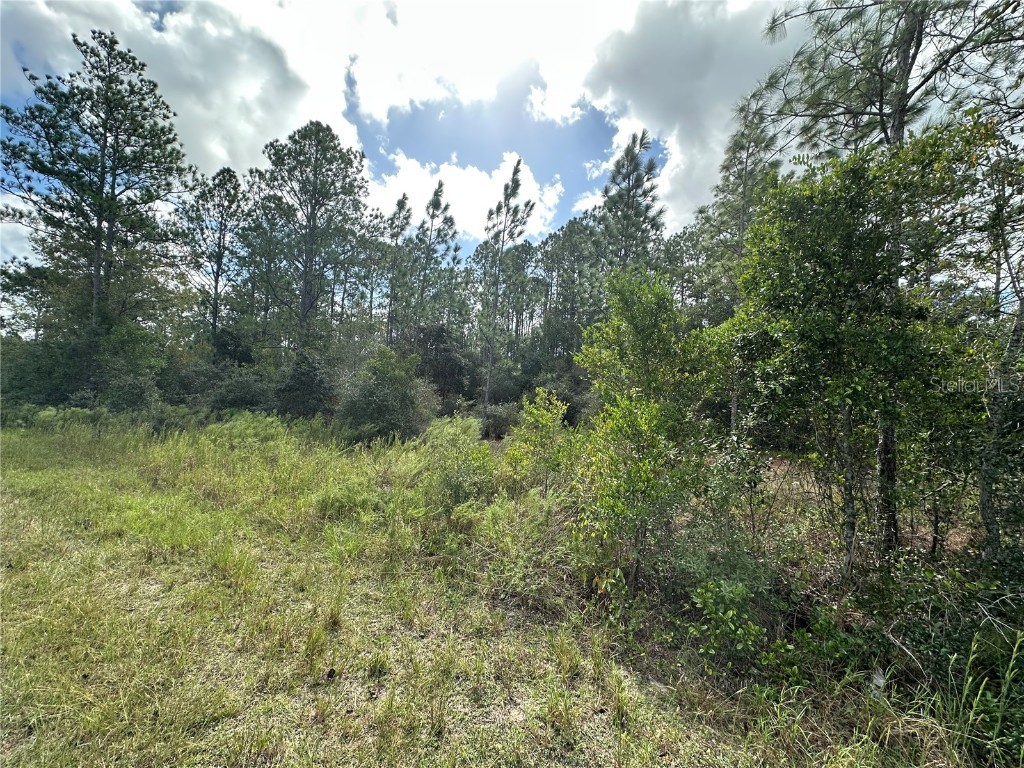 000 SW Audubon Avenue Dunnellon FL 34431 OM711108 image4