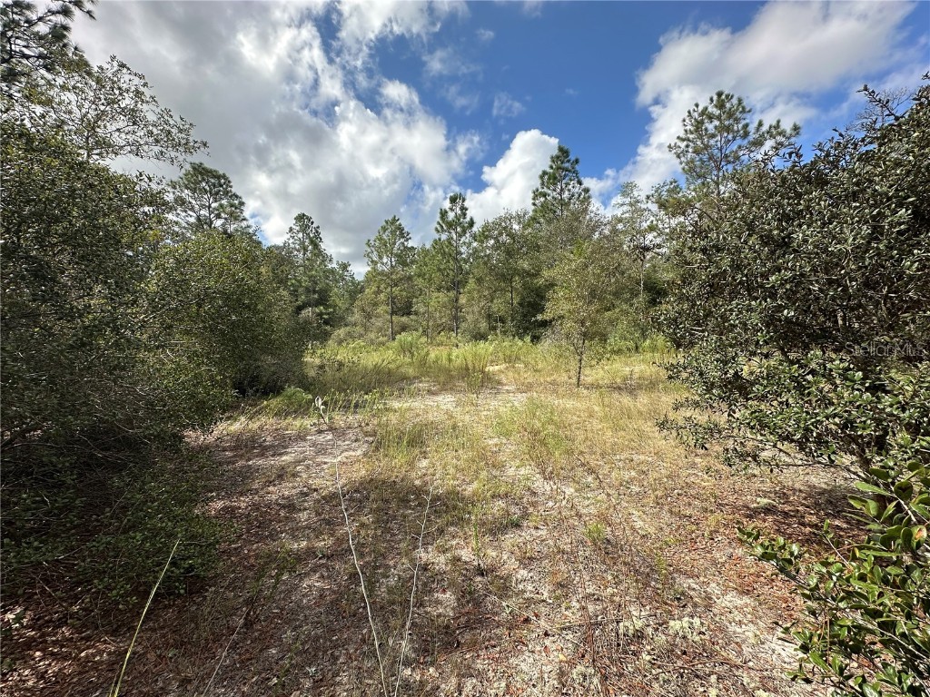 000 SW Audubon Avenue Dunnellon FL 34431 OM711108 image5