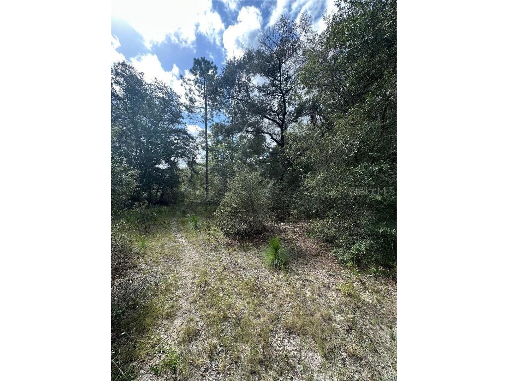 000 SW Audubon Avenue Dunnellon FL 34431 OM711108 image6