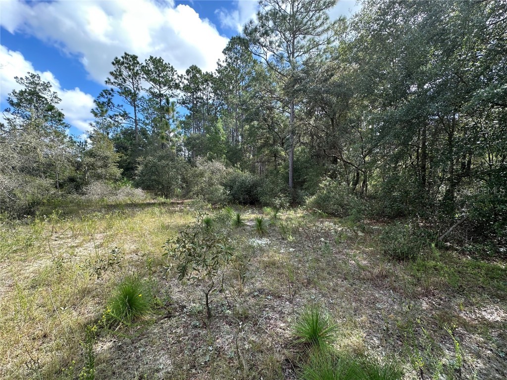 000 SW Audubon Avenue Dunnellon FL 34431 OM711108 image7