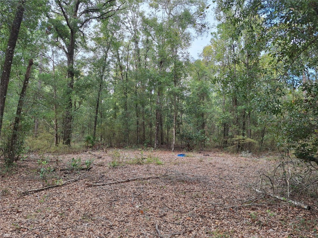 000 SW County Rd. 138 Fort White FL 32038 GC535013 image10