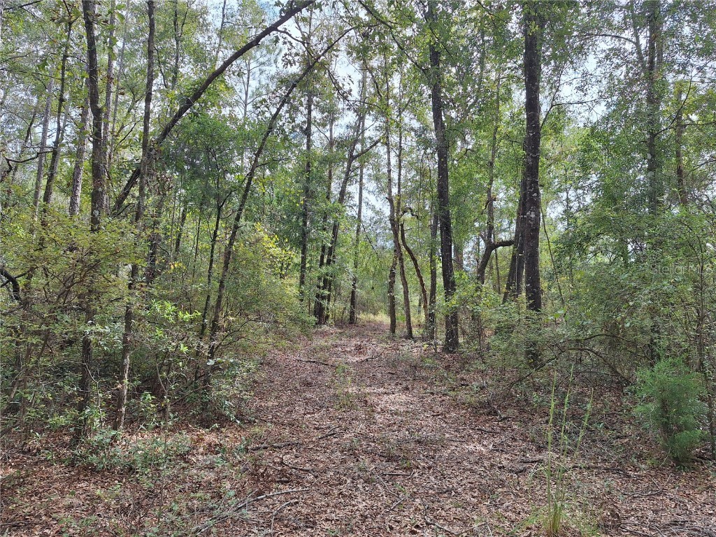 000 SW County Rd. 138 Fort White FL 32038 GC535013 image11