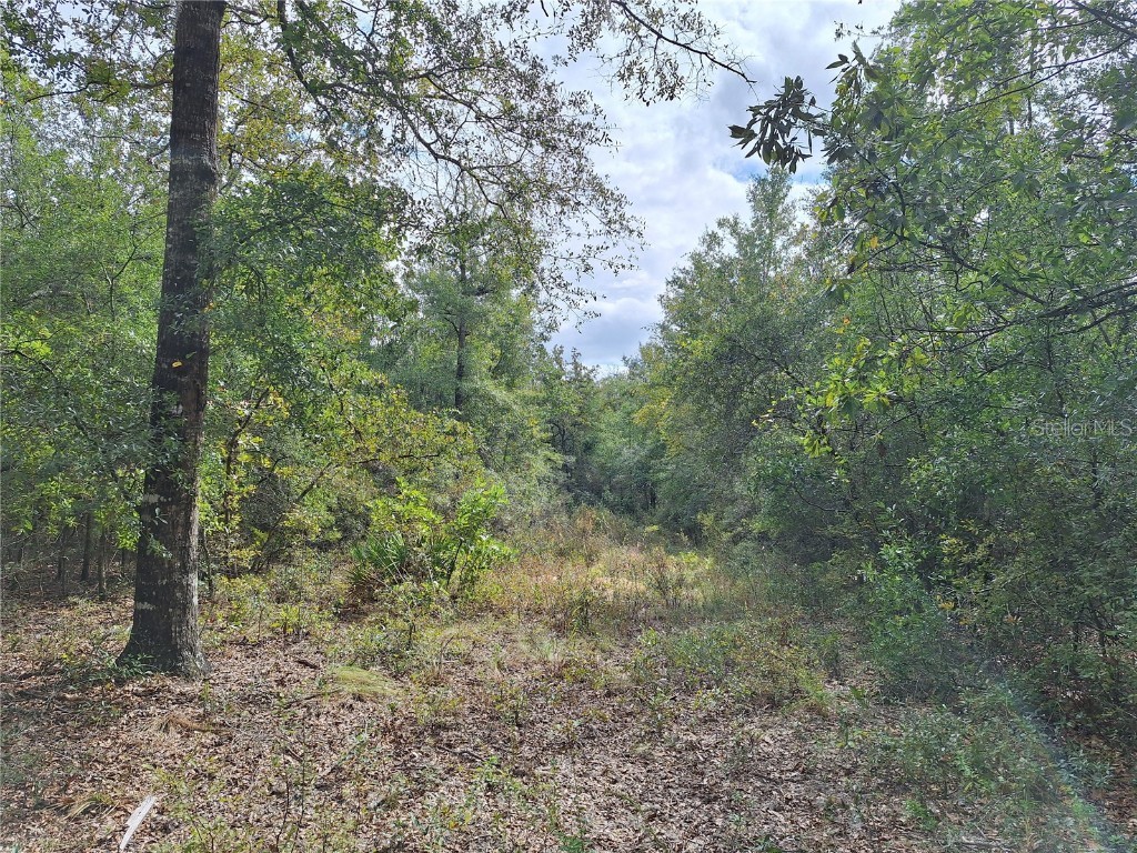 000 SW County Rd. 138 Fort White FL 32038 GC535013 image12