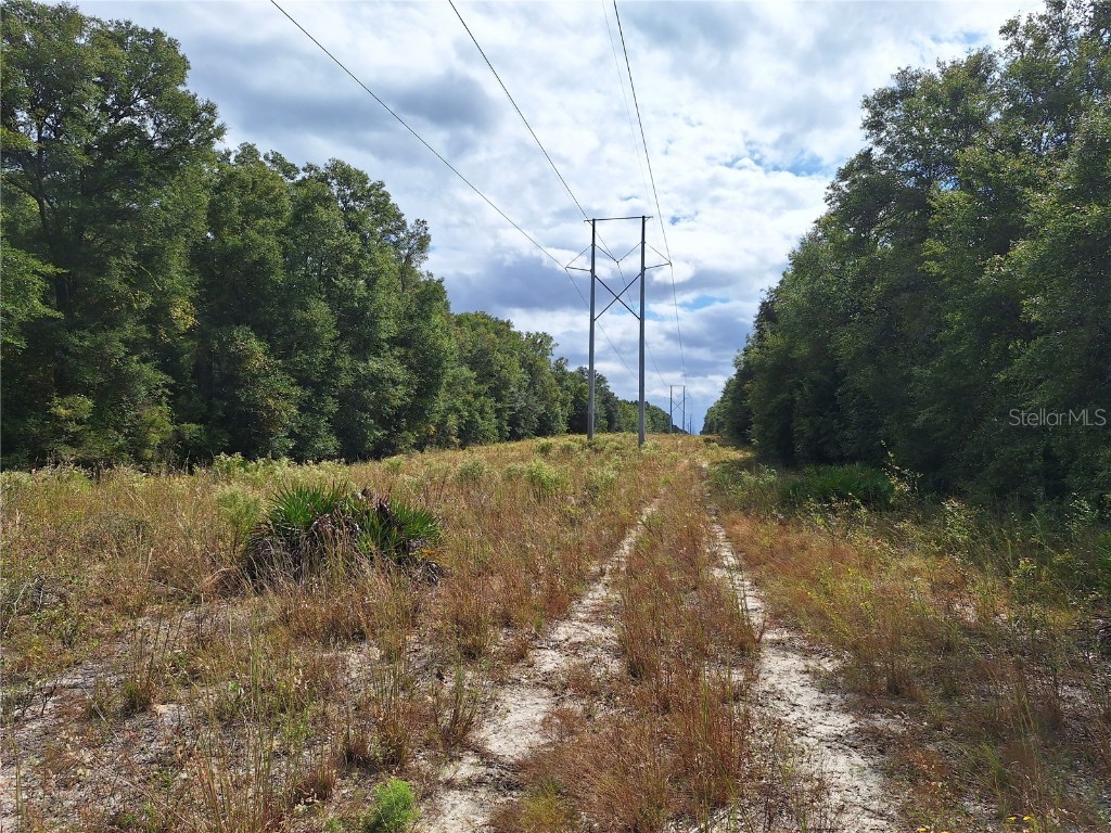 000 SW County Rd. 138 Fort White FL 32038 GC535013 image14