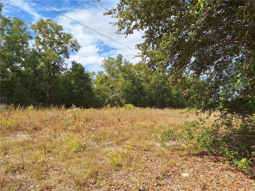 000 SW County Rd. 138 Fort White FL 32038 GC535013 image15