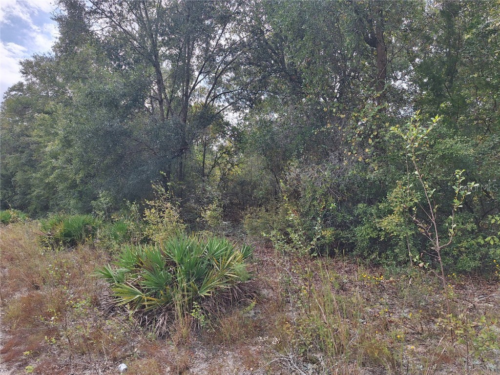 000 SW County Rd. 138 Fort White FL 32038 GC535013 image16