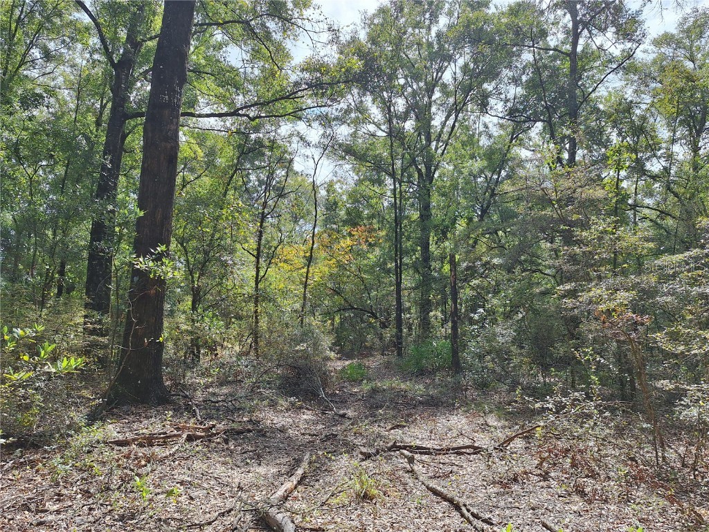 000 SW County Rd. 138 Fort White FL 32038 GC535013 image18