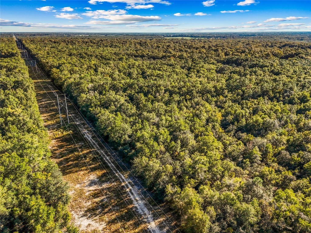 000 SW County Rd. 138 Fort White FL 32038 GC535013 image23