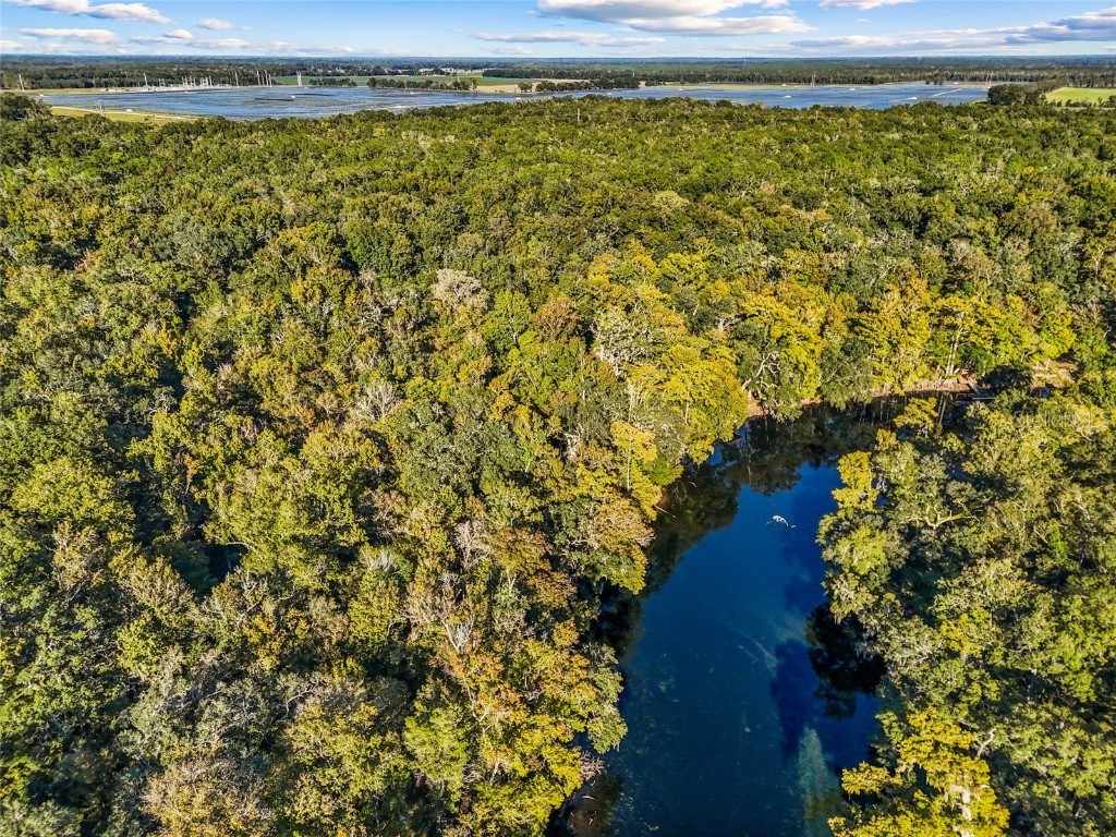 000 SW County Rd. 138 Fort White FL 32038 GC535013 image25