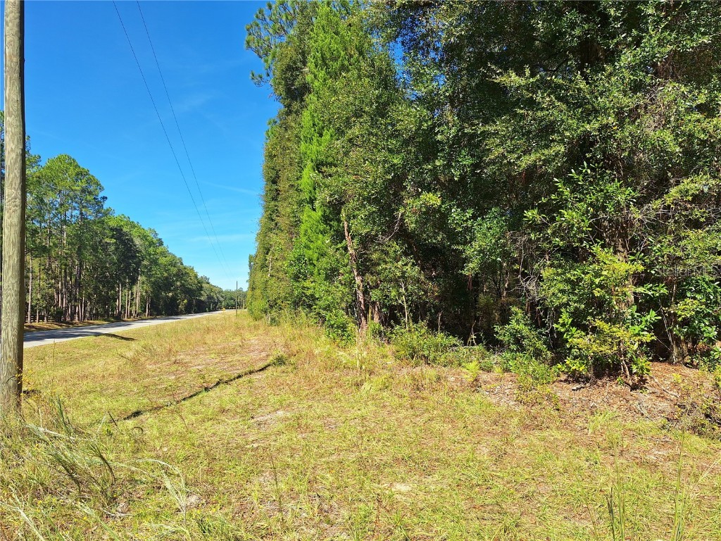 000 SW County Rd. 138 Fort White FL 32038 GC535013 image4