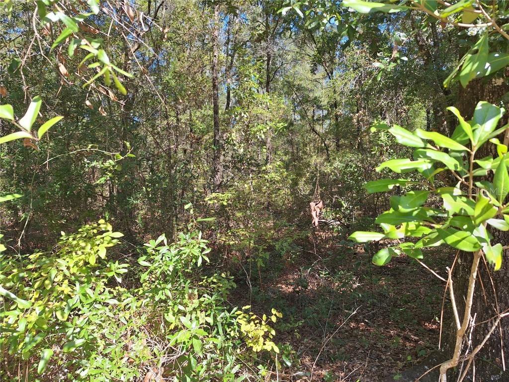 000 SW County Rd. 138 Fort White FL 32038 GC535013 image5