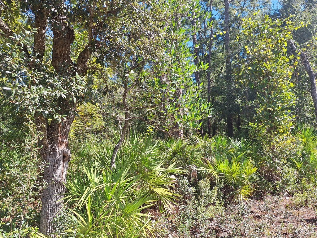 000 SW County Rd. 138 Fort White FL 32038 GC535013 image6