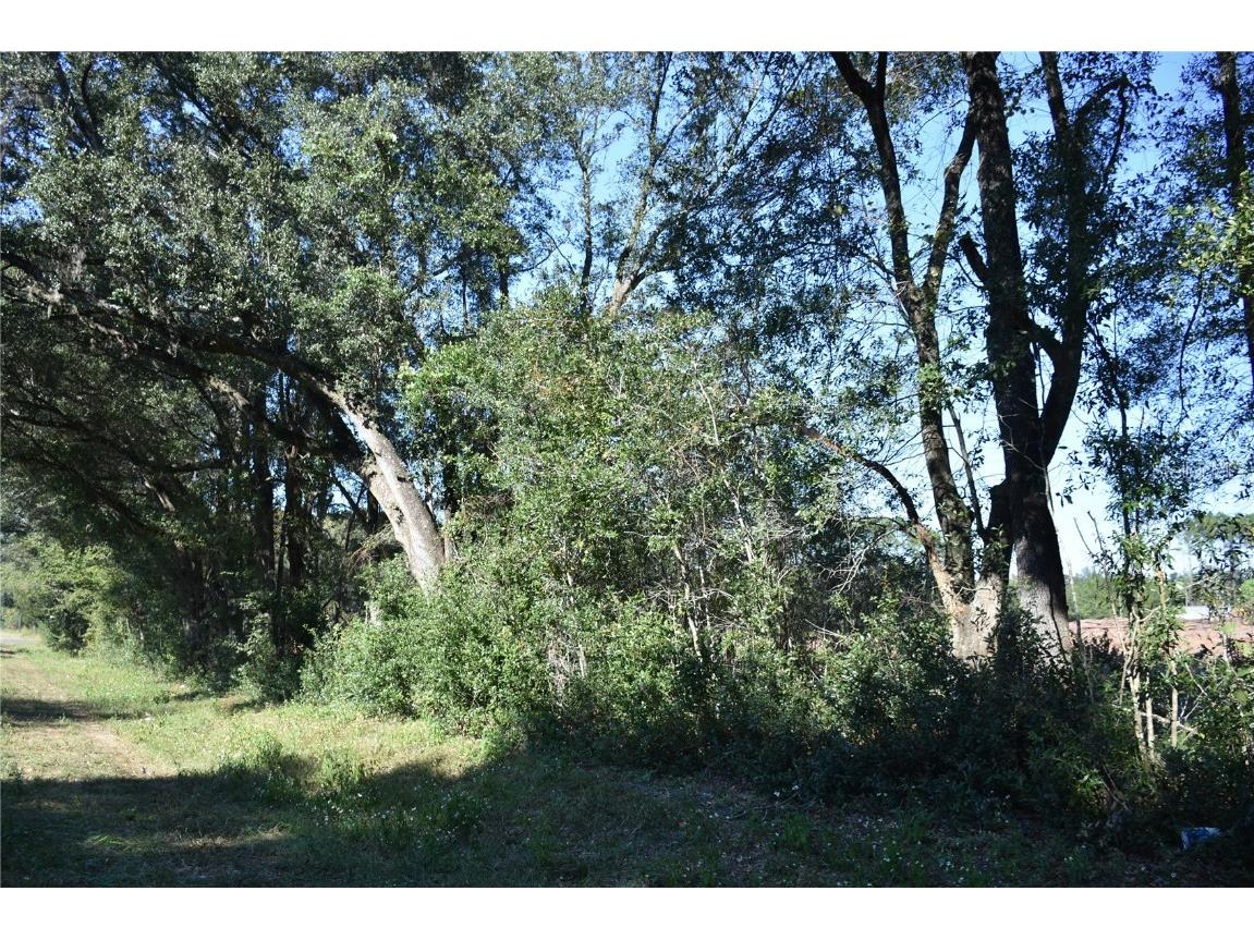 000 SW Cr 241 Archer FL 32618 GC508837 image1