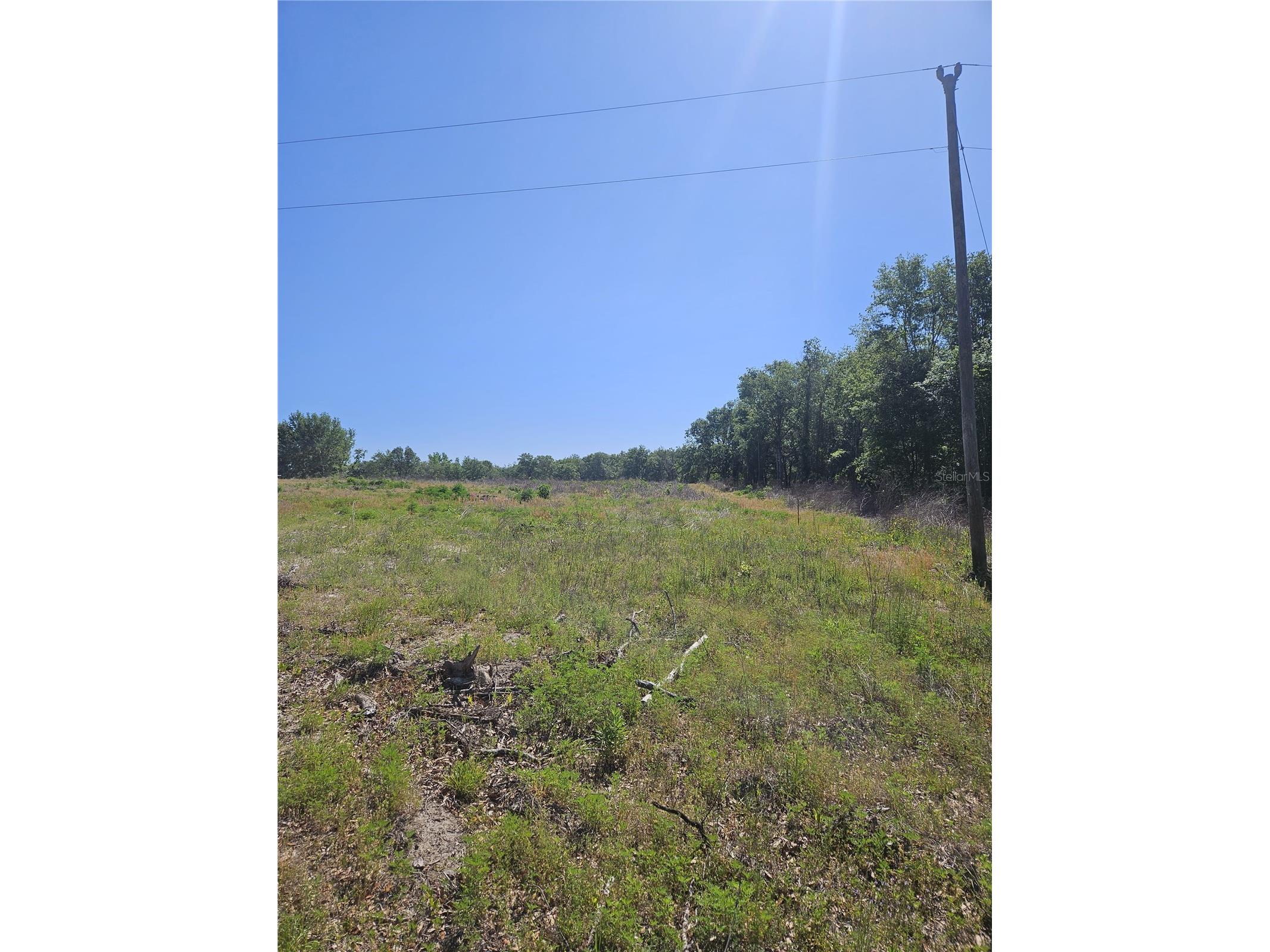 000 SW Mixson Road Lake City FL 32024 TB8499733 image11