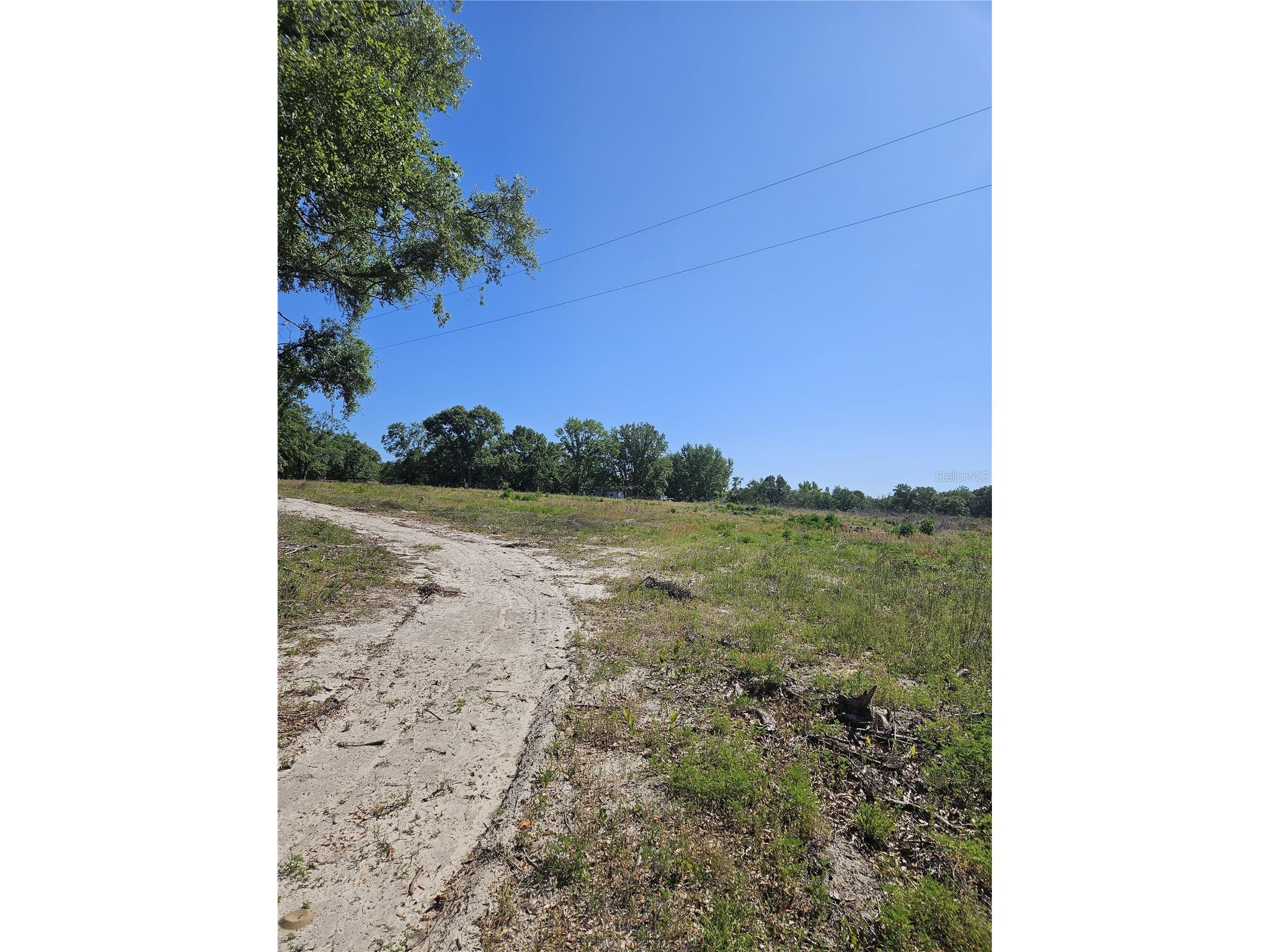 000 SW Mixson Road Lake City FL 32024 TB8499733 image12