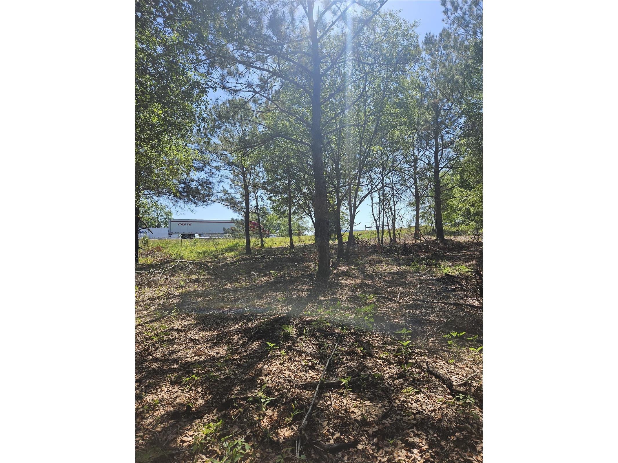 000 SW Mixson Road Lake City FL 32024 TB8499733 image16
