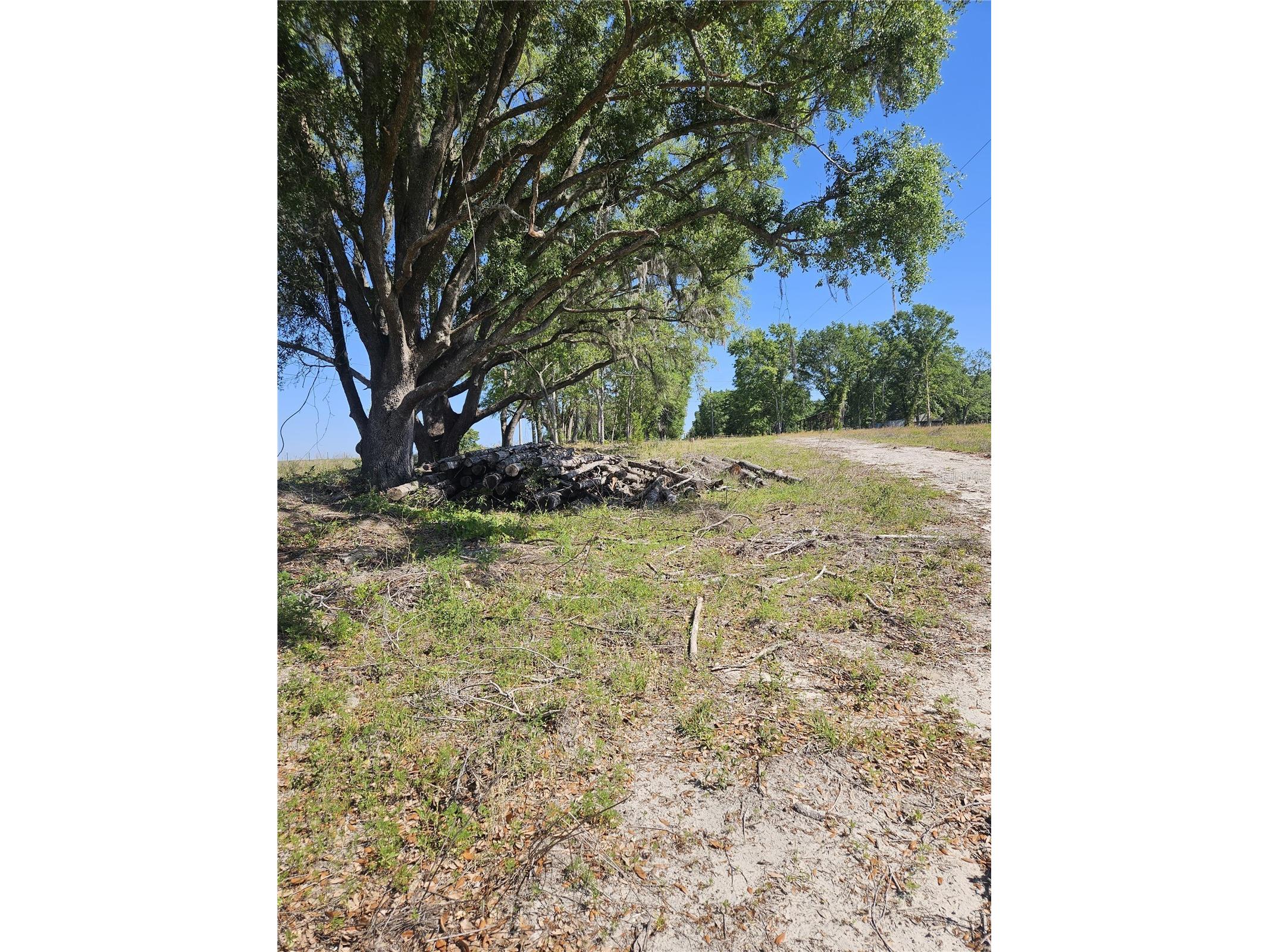 000 SW Mixson Road Lake City FL 32024 TB8499733 image19