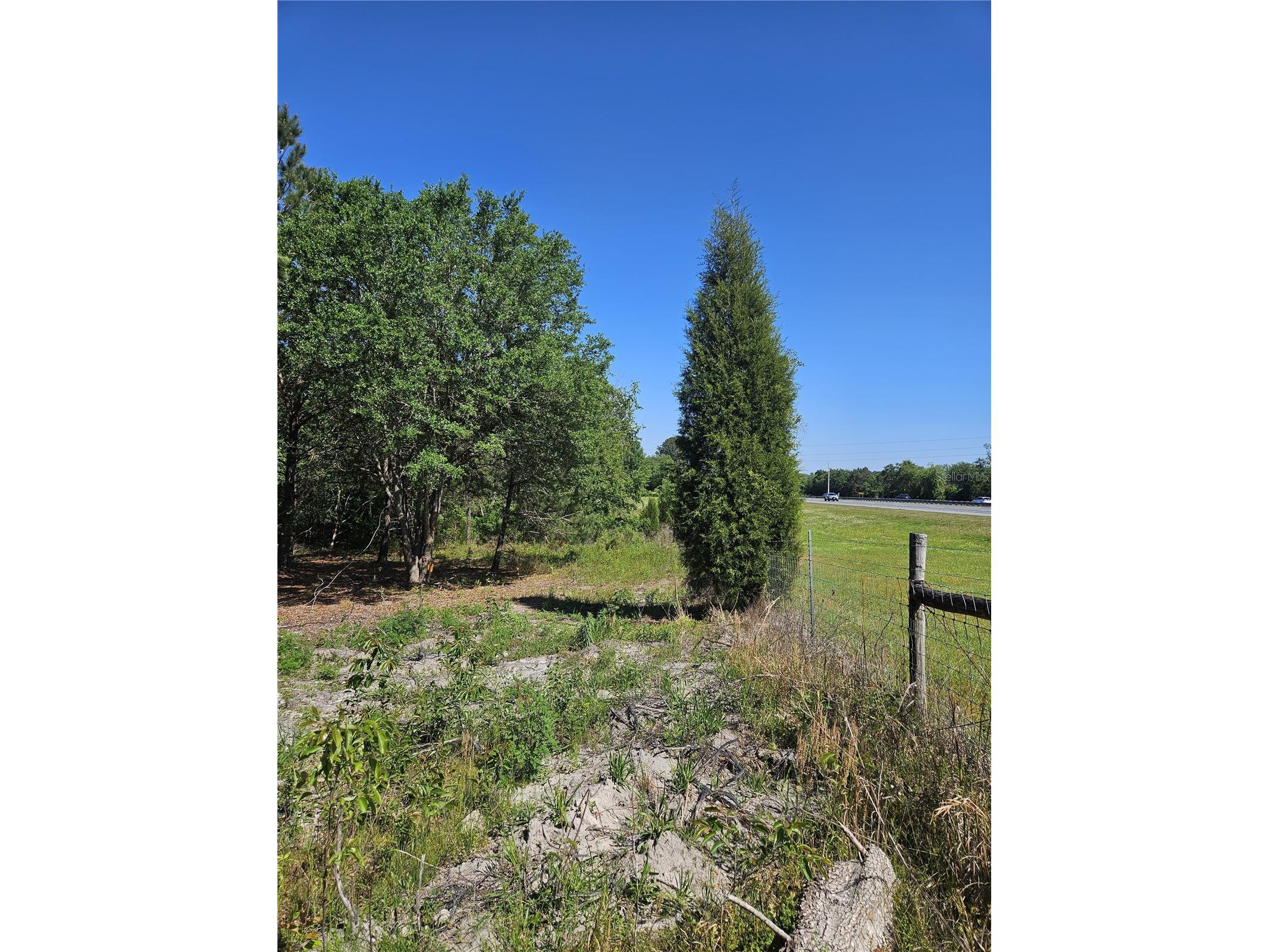 000 SW Mixson Road Lake City FL 32024 TB8499733 image2