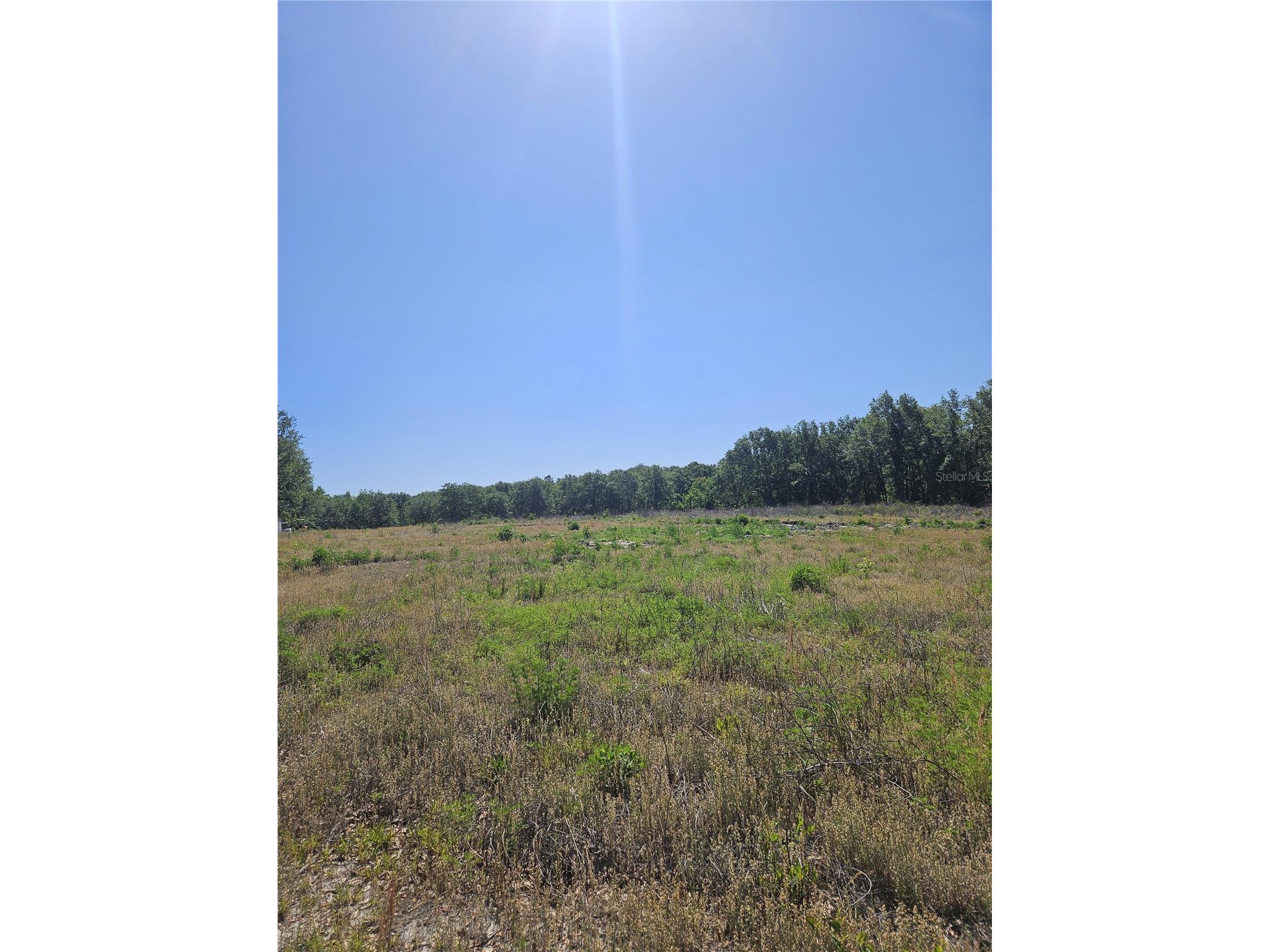 000 SW Mixson Road Lake City FL 32024 TB8499733 image20